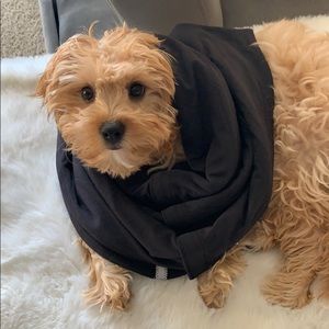 Lululemon Infiniti Scarf ~ Wrap Duo